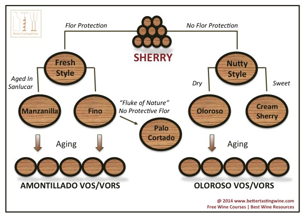 Sherry Basics Guide and Types