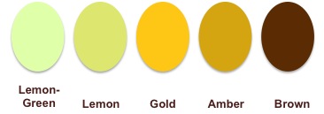 color of each wine. Note that Sauvignon Blanc has the lightest color ...