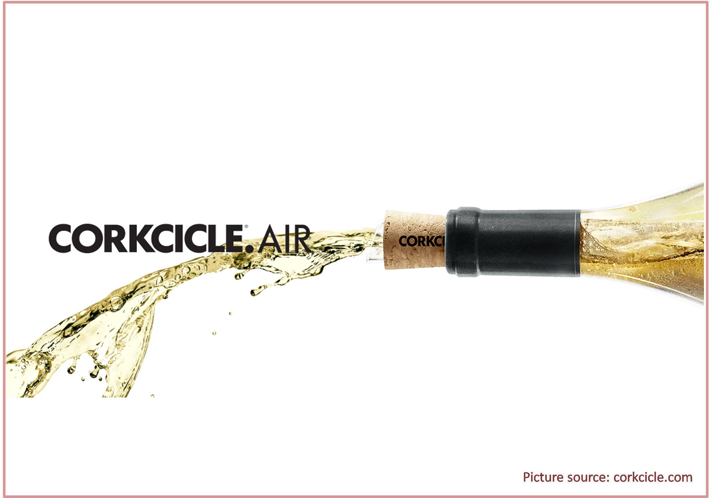 Corkcicle Air Wine Bottle Accessory