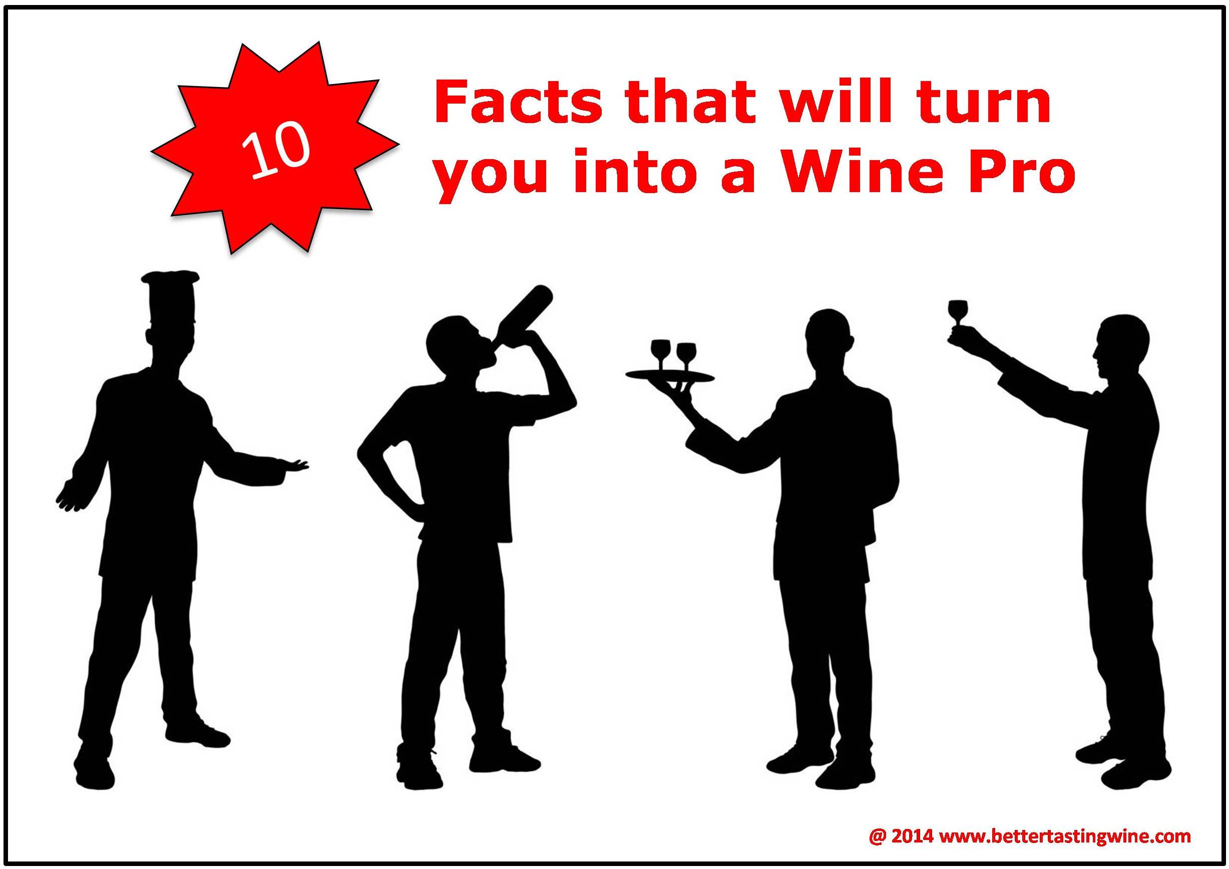 Ten Knowledge that will turn you into an instant wine pro